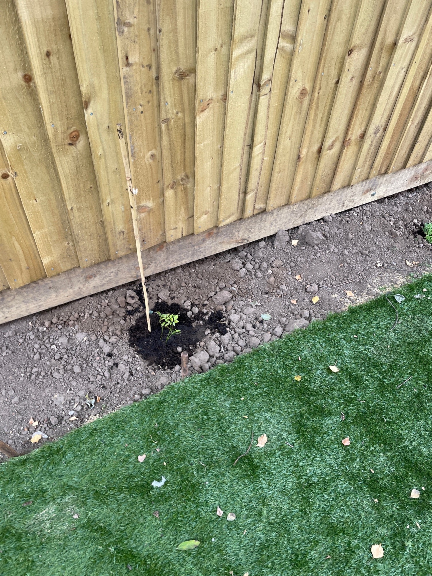 Communal gardens at rental flats in Goole